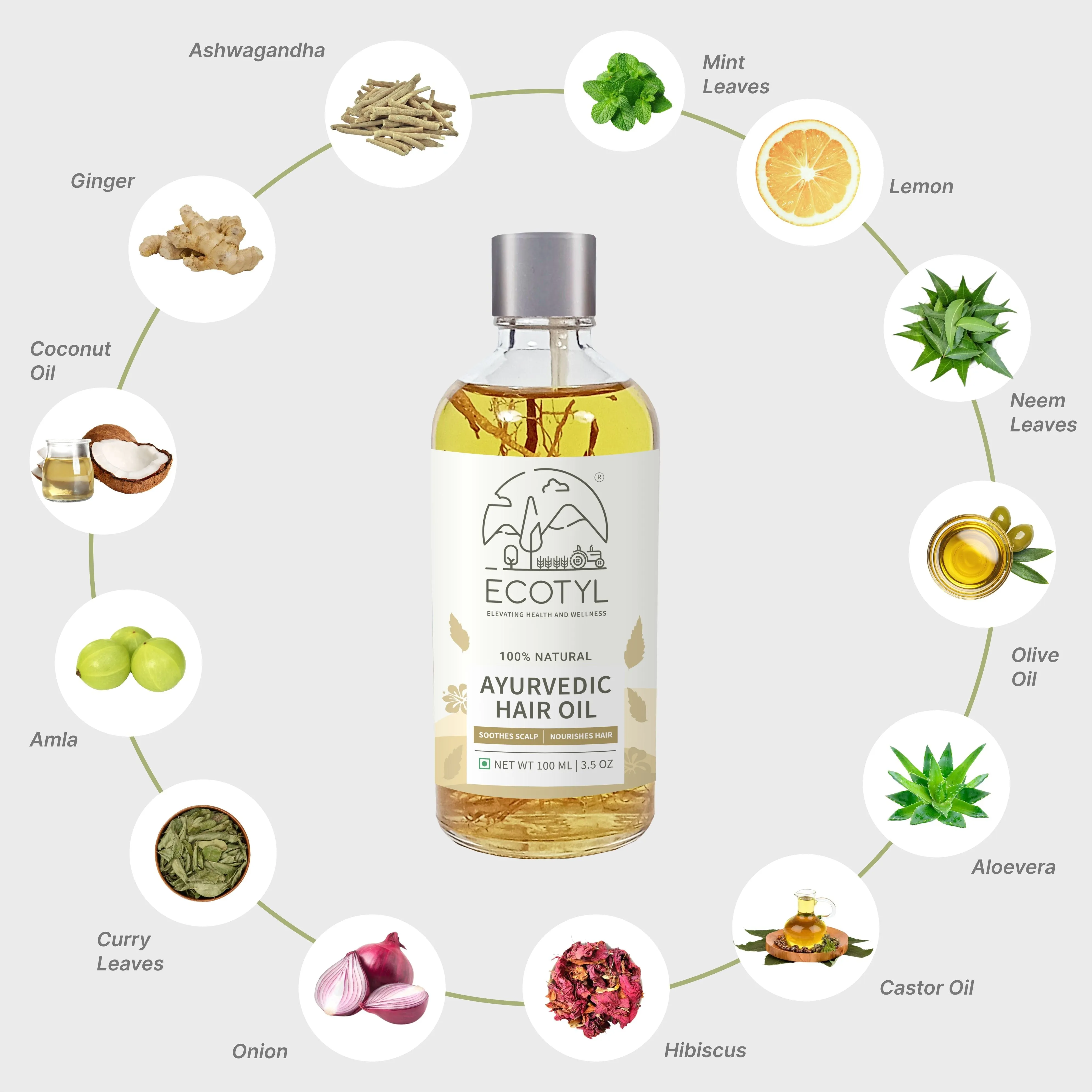 Ayurvedic Hair Oil Infused with 10  Herbs