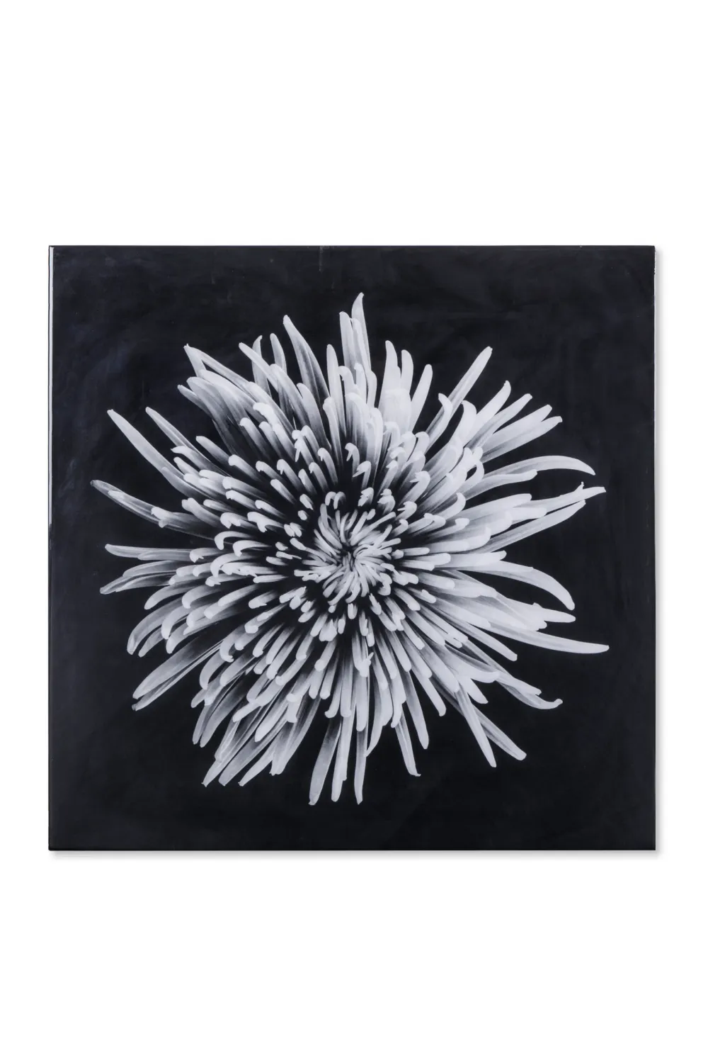 Black And White Epoxy Artwork | Andrew Martin