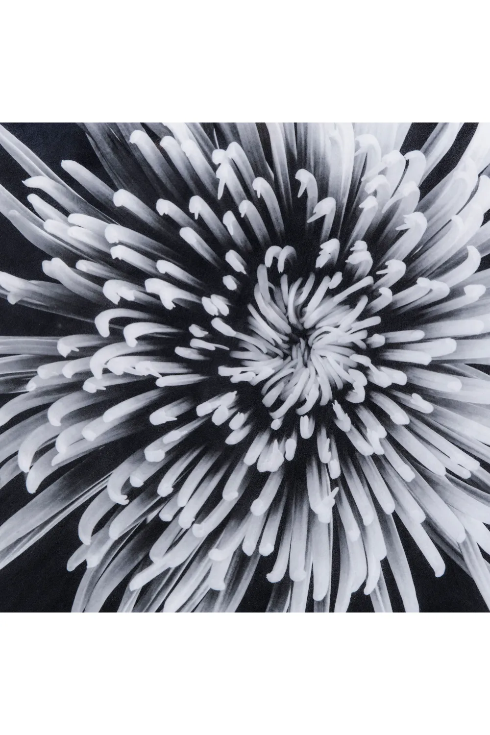 Black And White Epoxy Artwork | Andrew Martin