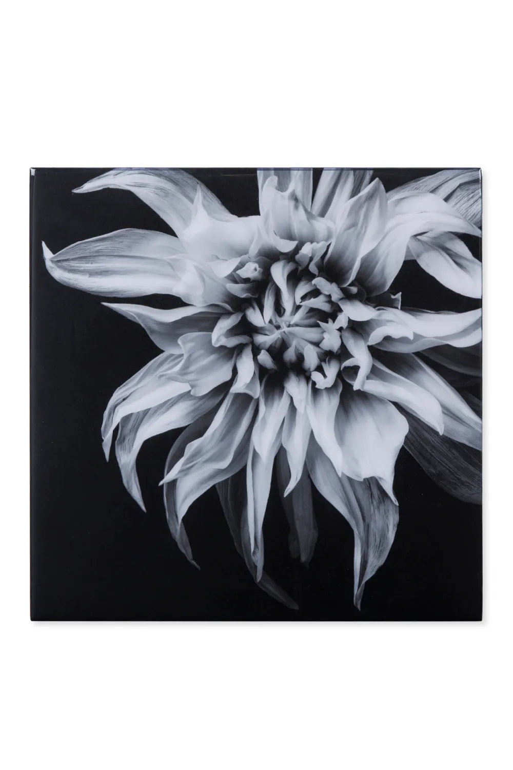 Black And White Epoxy Artwork | Andrew Martin