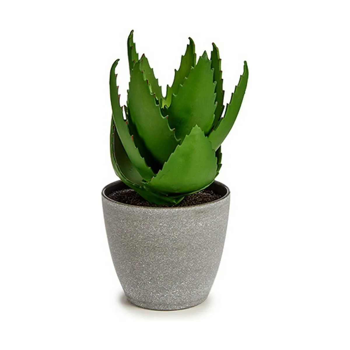 Decorative Plant Aloe Vera 15 x 23.5 x 15 Cm Grey Green Plastic 6 Units